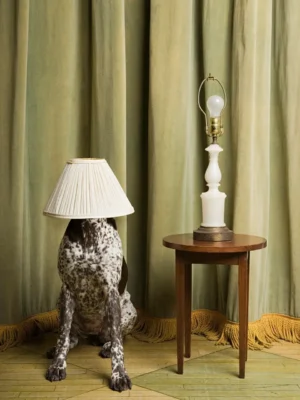 A lamp and table with curtains in the background